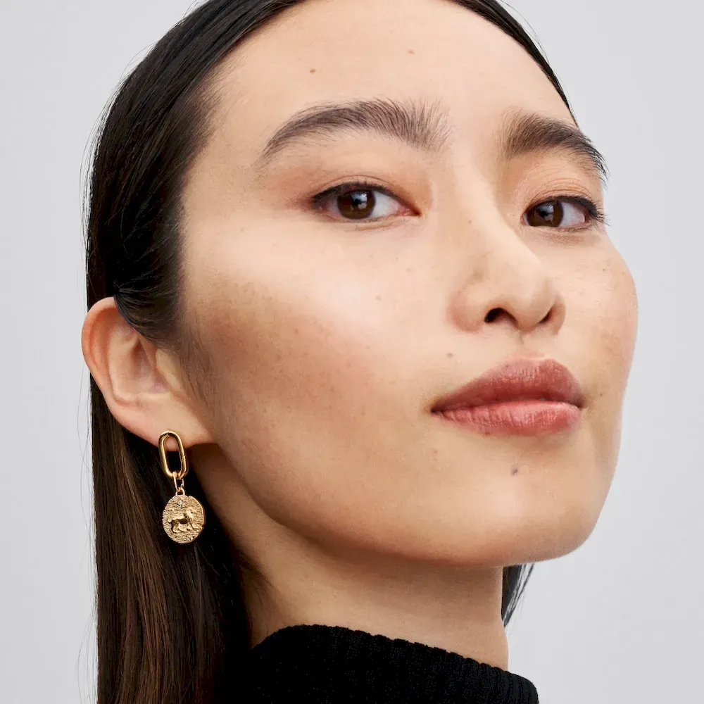 Lion Medallion Charm - Image 3