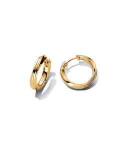 Twisted Hoop Earrings