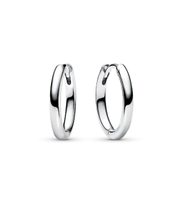 December charm Earring Set