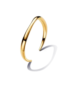 Organically Shaped Open Bangle