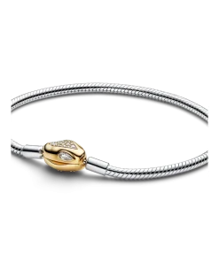 Snake Clasp & Chain Bracelet