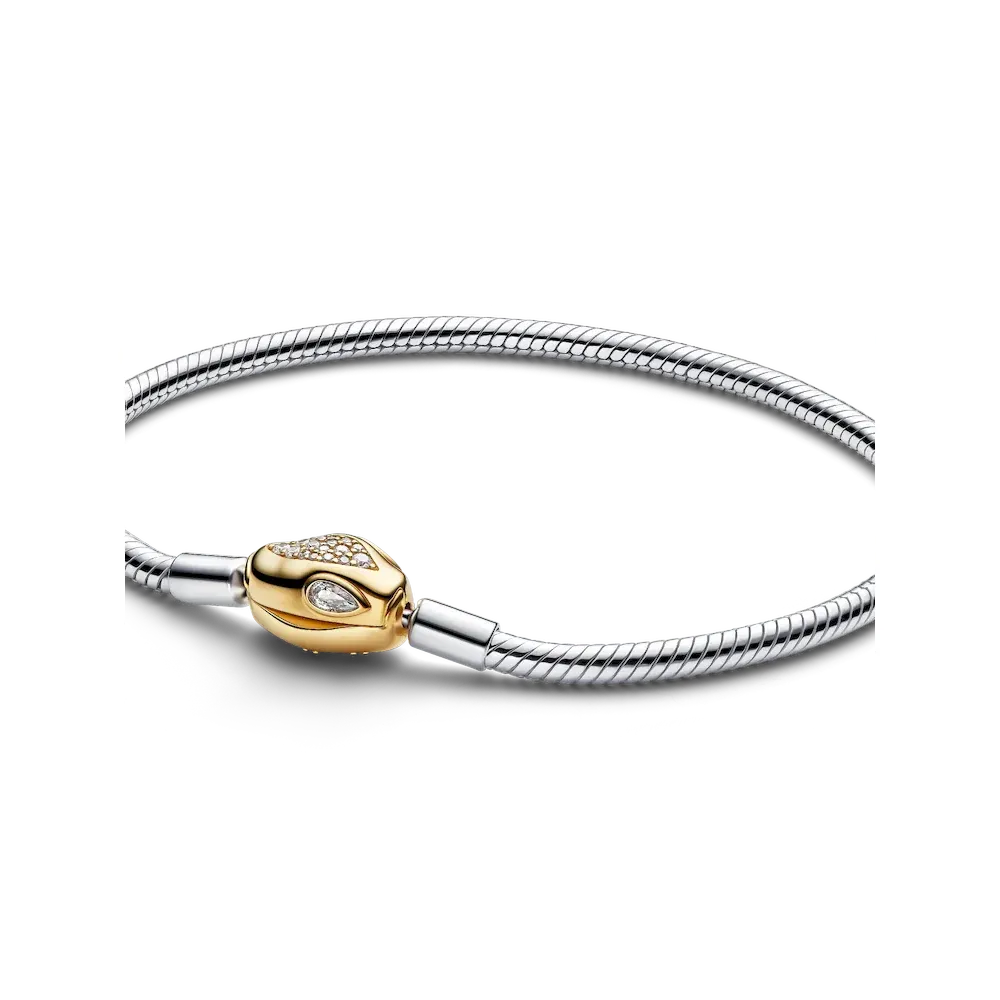 Lunar New Year Snake Clasp & Chain Charm Bracelet Set - Image 4