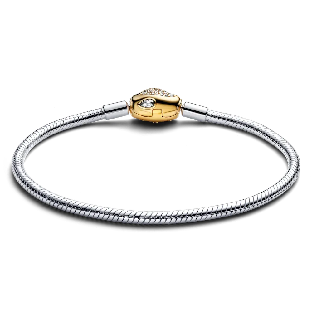 Lunar New Year Snake Clasp & Chain Charm Bracelet Set - Image 17