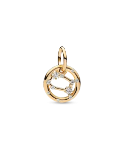 Gemini Zodiac Dangle Charm