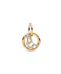 Aquarius Zodiac Dangle Charm