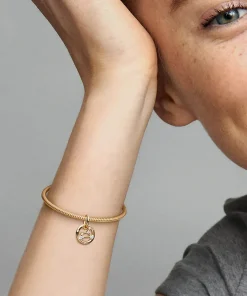 Alternative view of Leo Zodiac Dangle Charm