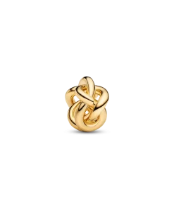 Infinity Knot Charm