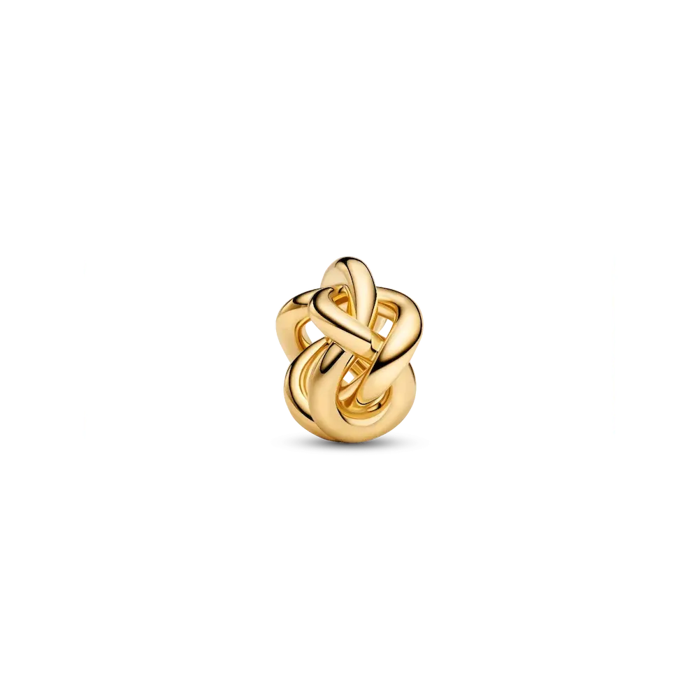 Infinity Knot Charm