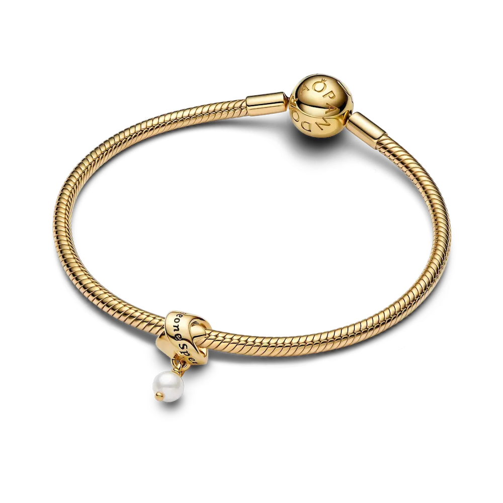 Golden Someone Special Charm Trio - Image 9