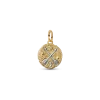 Crossing Arrows Medallion Charm