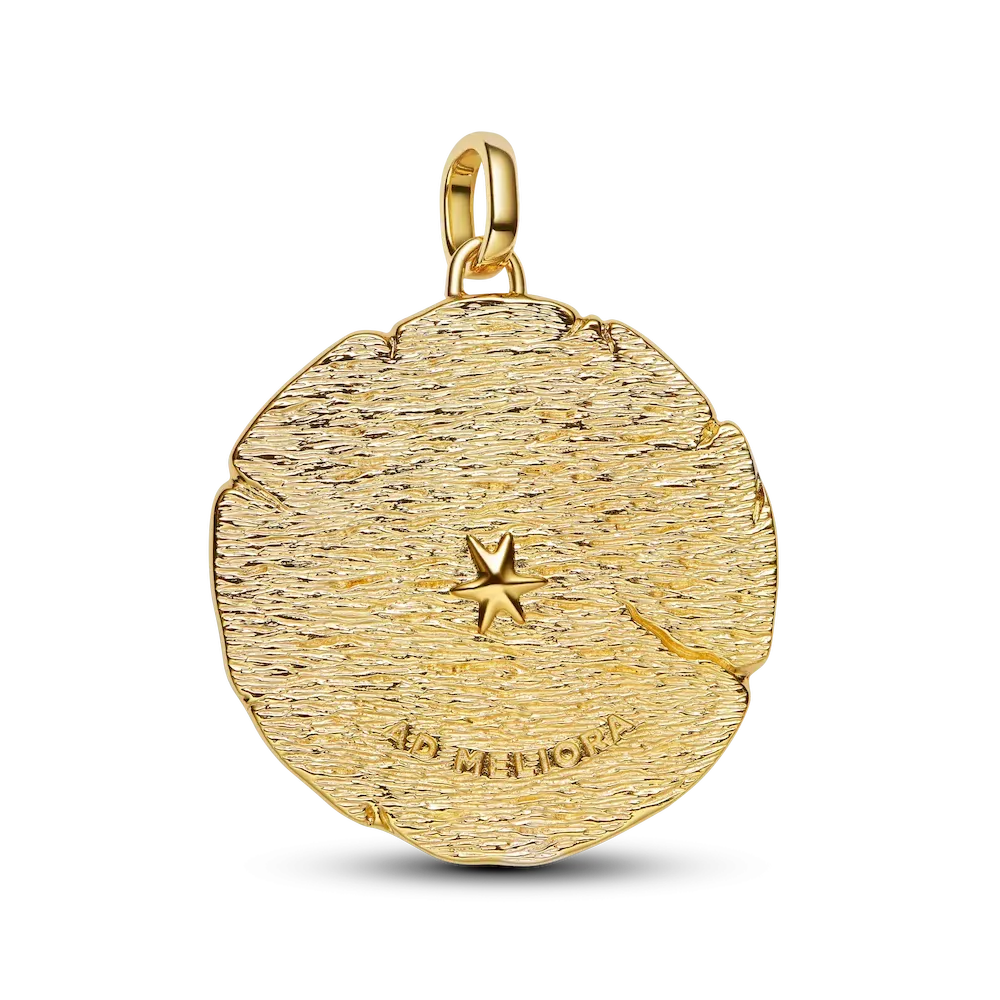 Crossing Arrows Oversized Medallion Charm - Image 5