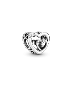Entwined Infinite Hearts Charm