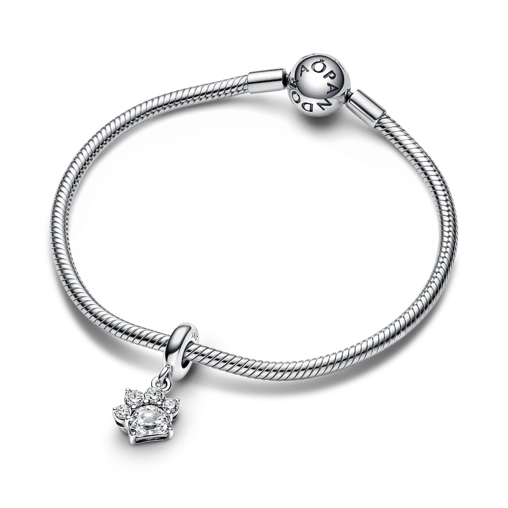Sparkling Pet Paw Print Dangle Charm - Image 5