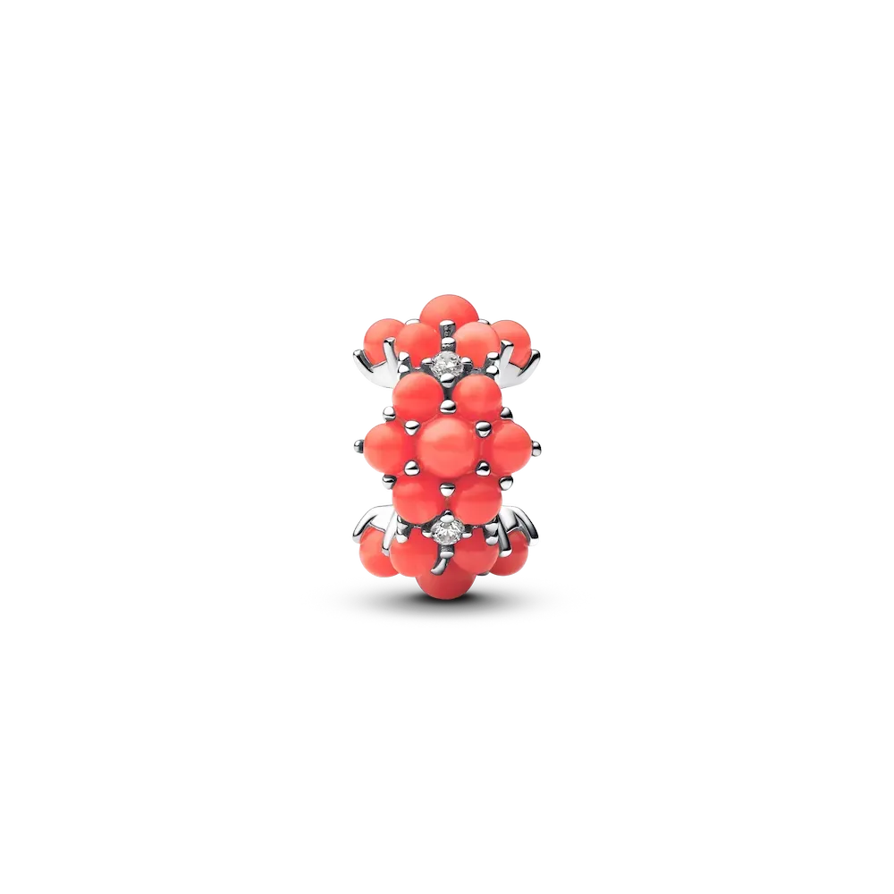 Coral-colored Ocean Charm - Image 5