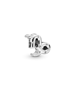 Sparkling Capricorn Zodiac Charm