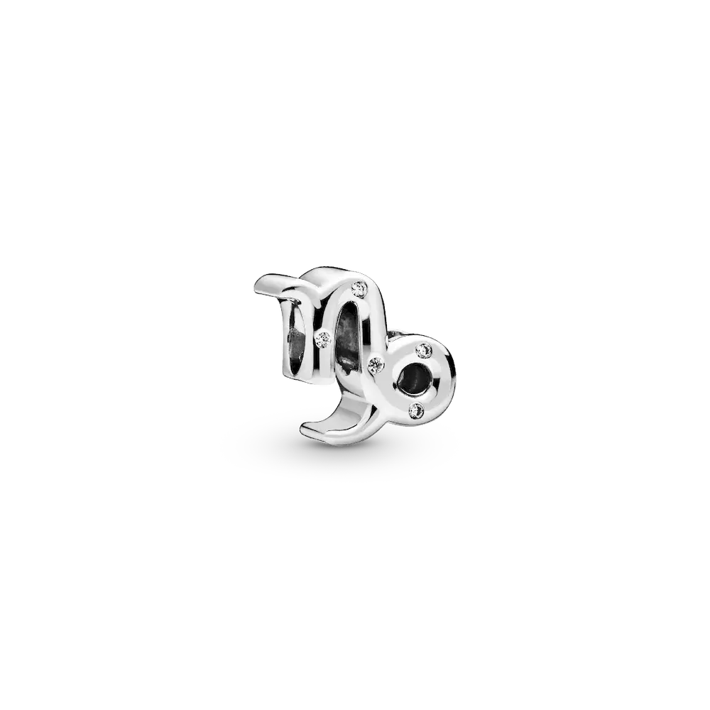 Capricorn Zodiac Charm Bracelet Set - Image 3