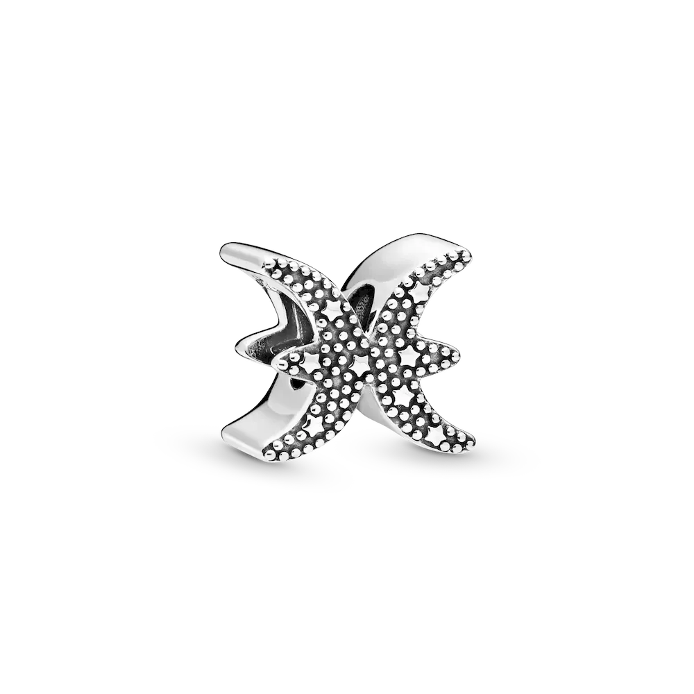 Pisces Zodiac Charm Bracelet Set - Image 13