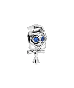 Wise Owl Graduation Charm