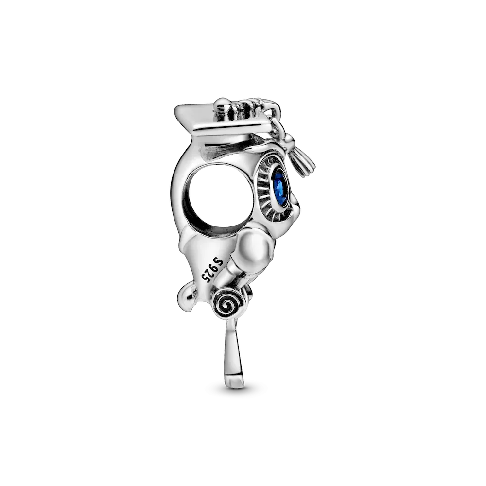 Wise Owl Graduation Charm - Image 5