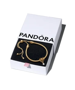 Golden Heart Bracelet Gift Set