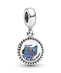 Ohio Map Dangle Charm