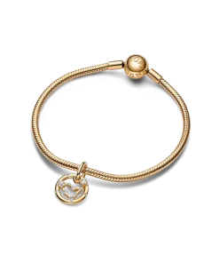 Capricorn Zodiac Dangle Charm Bracelet Set