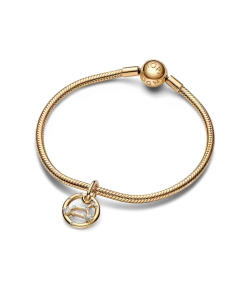 Leo Zodiac Dangle Charm Bracelet Set