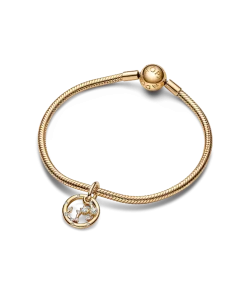 Scorpio Zodiac Dangle Charm Bracelet Set