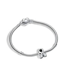 Leo Zodiac Charm Bracelet Set