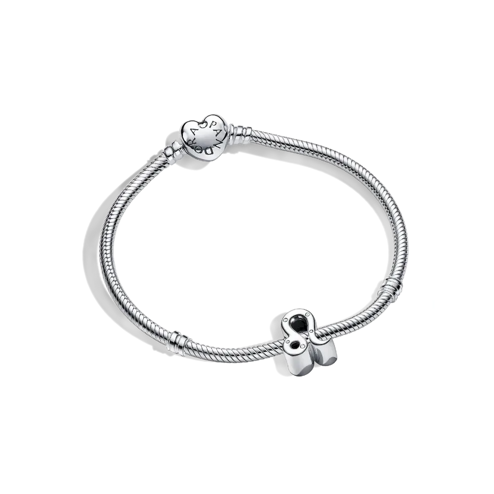 Leo Zodiac Charm Bracelet Set