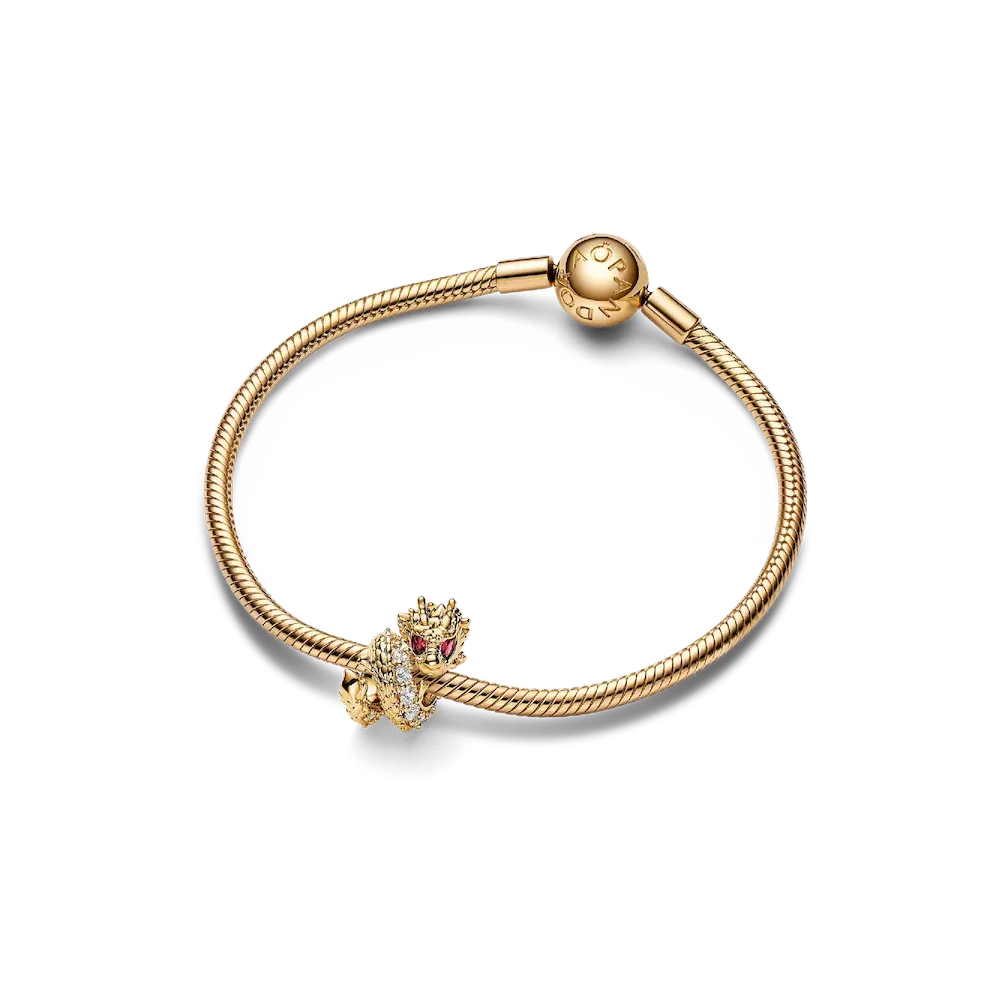 Dragon Charm Bracelet Set