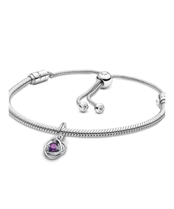 February Eternity Circle Dangle Charm Bracelet Set