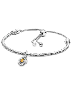 November Eternity Circle Dangle Charm Bracelet Set