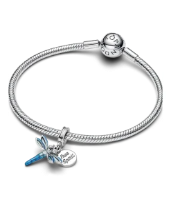 Dragonfly Dangle Charm Bracelet Set