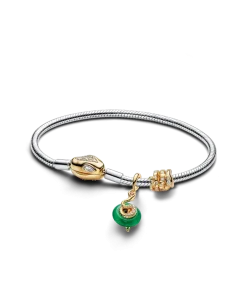 Lunar New Year Snake Clasp & Chain Charm Bracelet Set