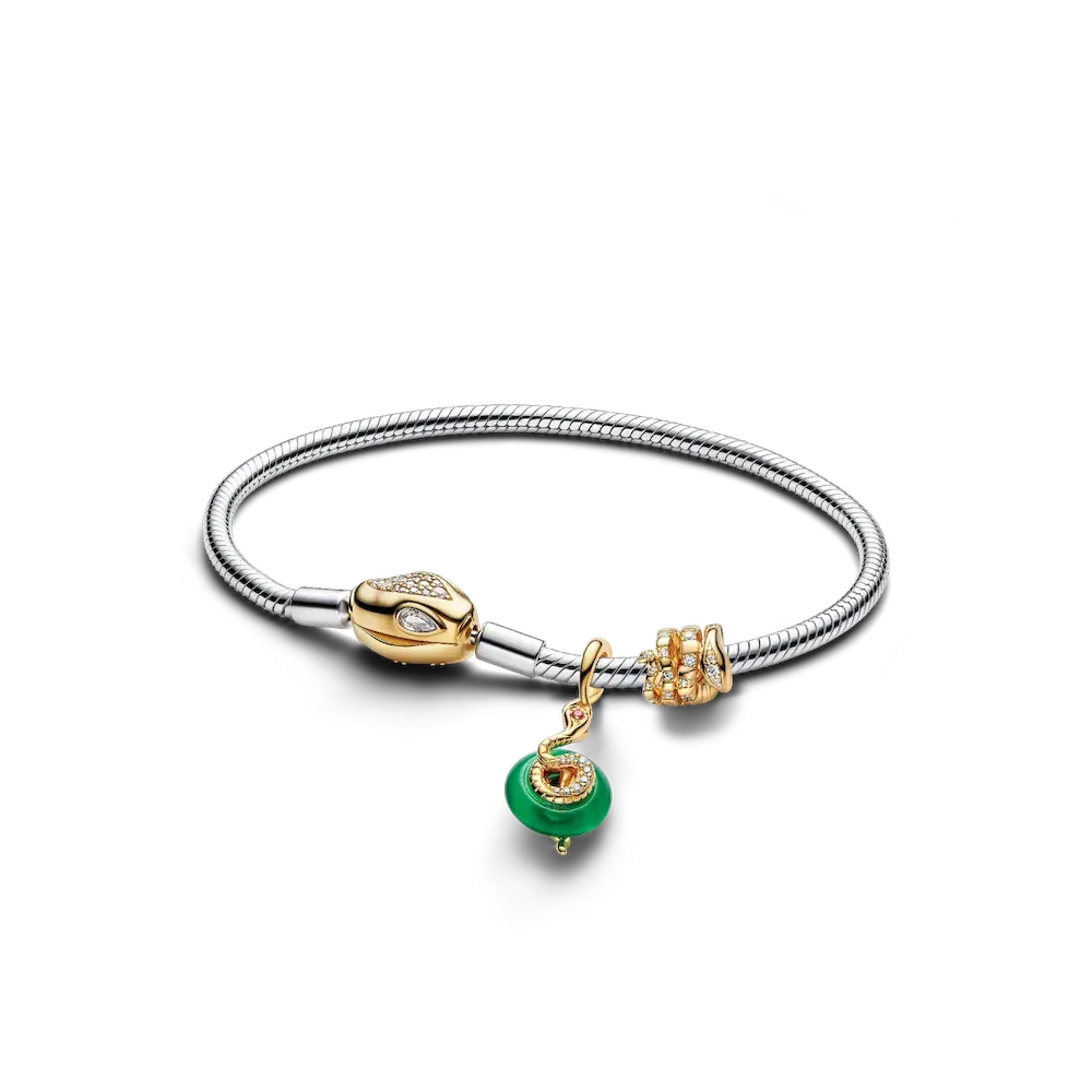 Lunar New Year Snake Clasp & Chain Charm Bracelet Set