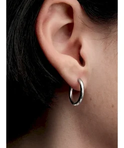 Alternative view of December charm Earring Set